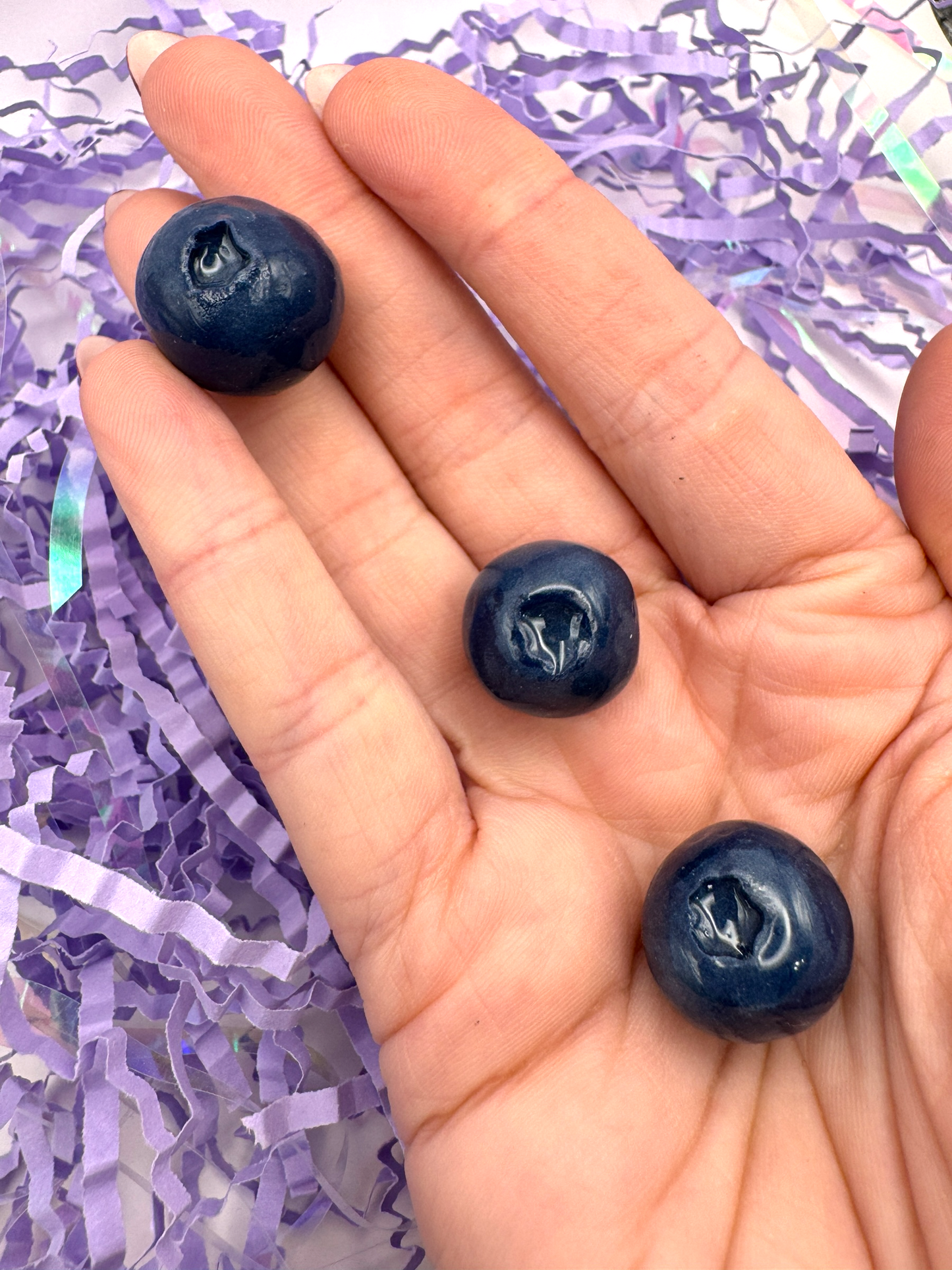 Blueberry Magnets