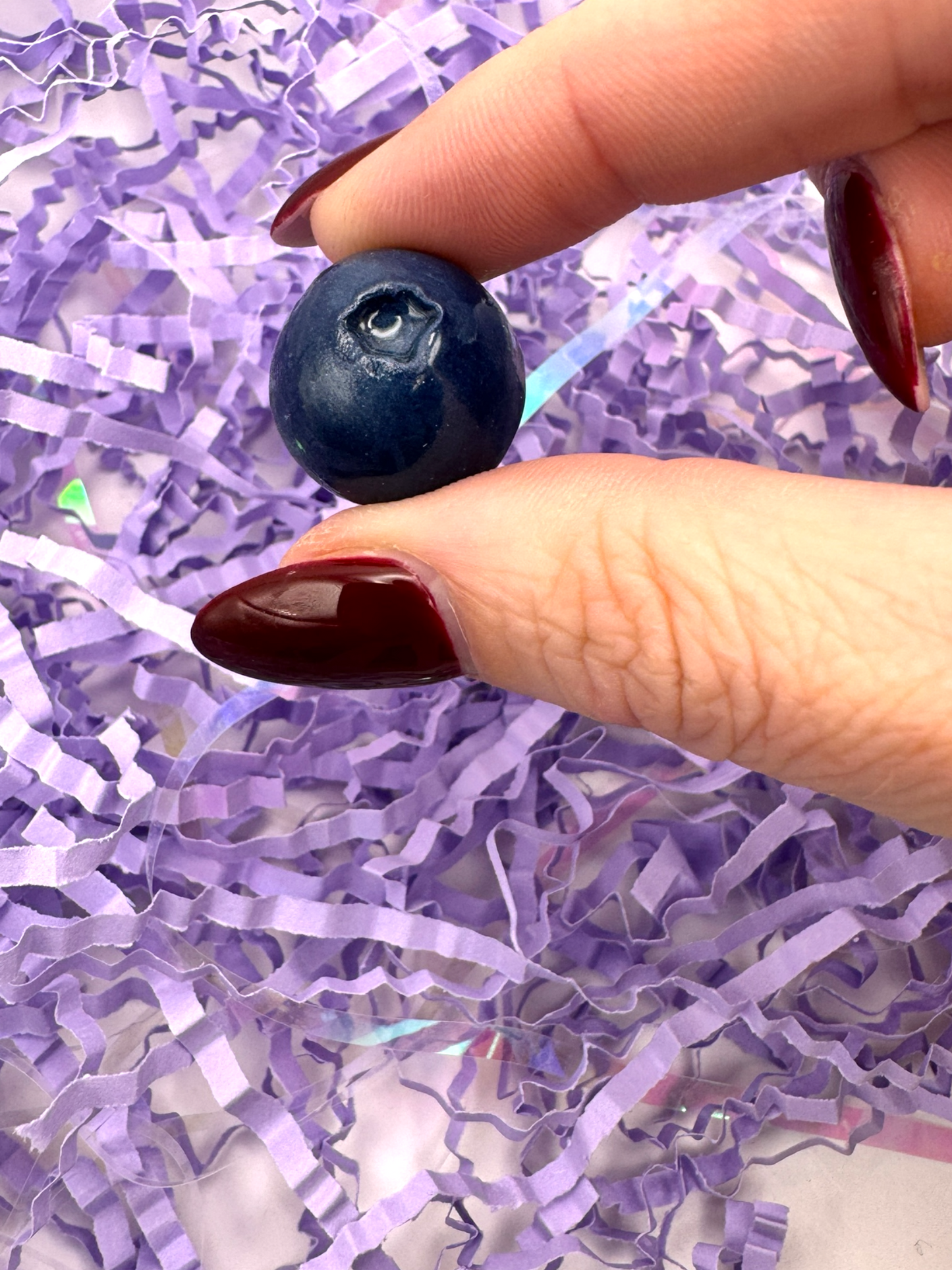 Blueberry Magnets